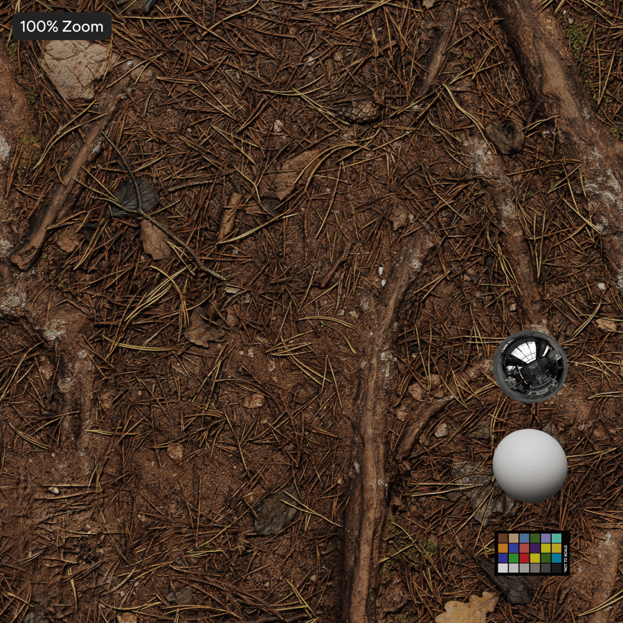 森林地面の木の根 テクスチャ, レッド