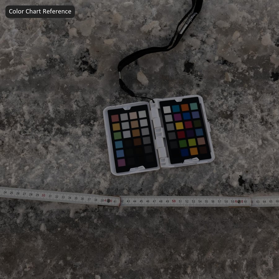 Tire Marks on Snowy Paver Texture