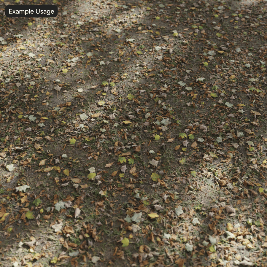 Scattered Autumn Leaves and Pine on Grass Texture