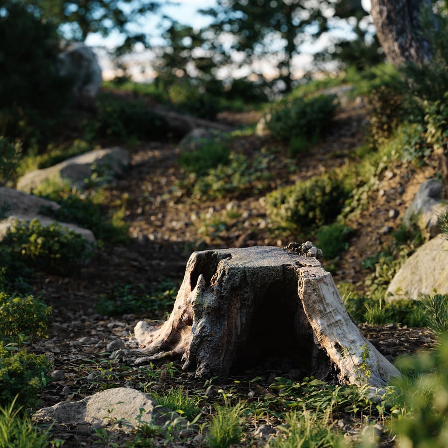 Short Cut Bare Decaying Stump Model