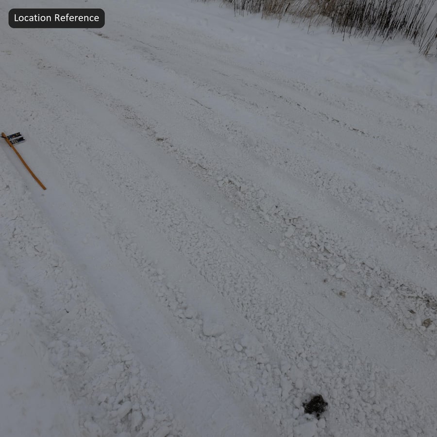 厚雪紋理上的輪胎印記