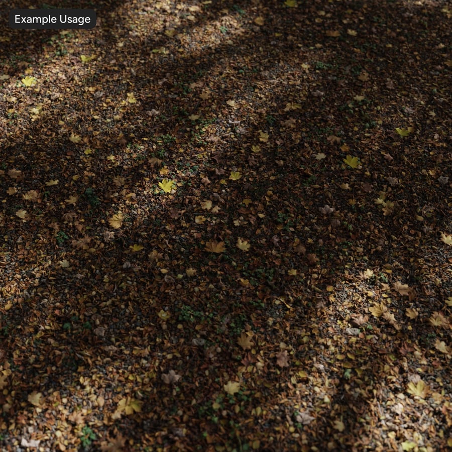 Autumn Leaves on Dirt Texture