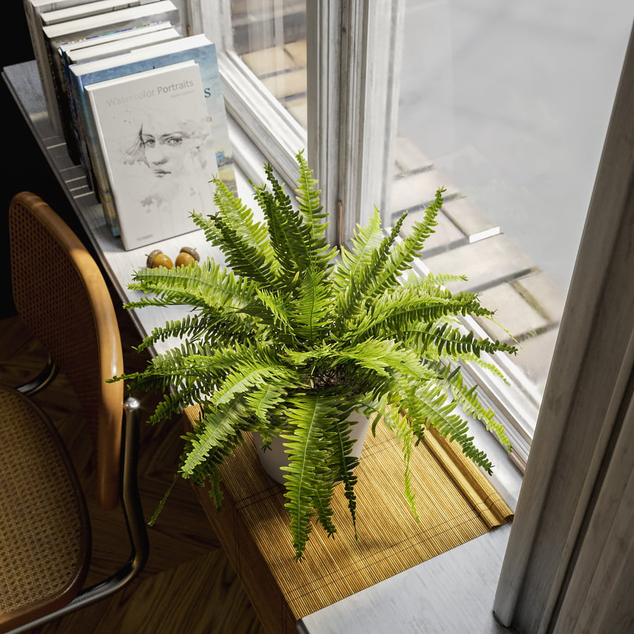 Boston Fern Potted Plant Model