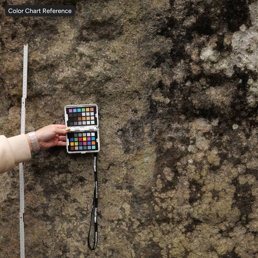 Texture roccia scoscesa macchiata di licheni