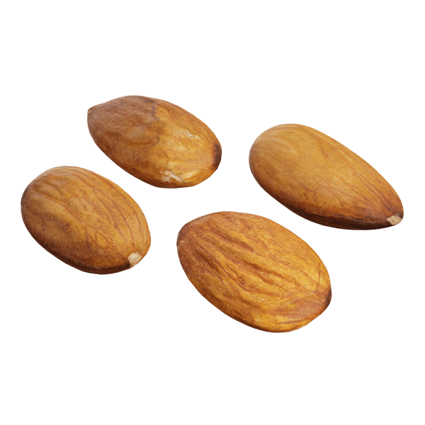 Raw Almonds Model