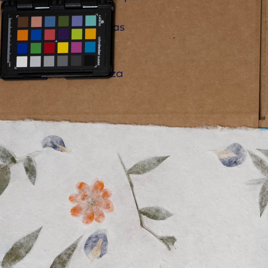 Textura de papel de amora pesada com flores de íris