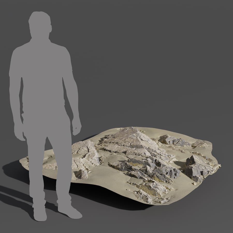 Modelo de rocha de praia irregular média