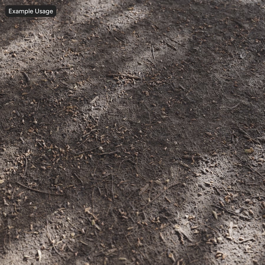 Seeds on Dirt Texture
