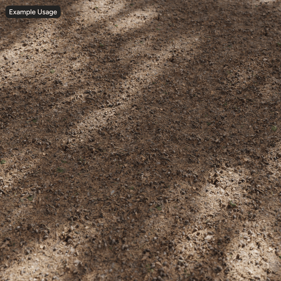 Conifer Leaves on Ground Texture