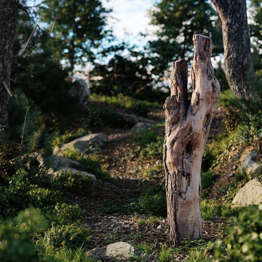 Tall Cut Deciduous Stump Model