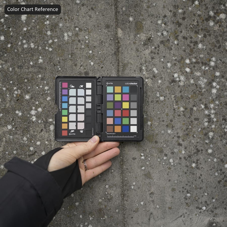 Lichen Covered Concrete Retaining Wall Texture