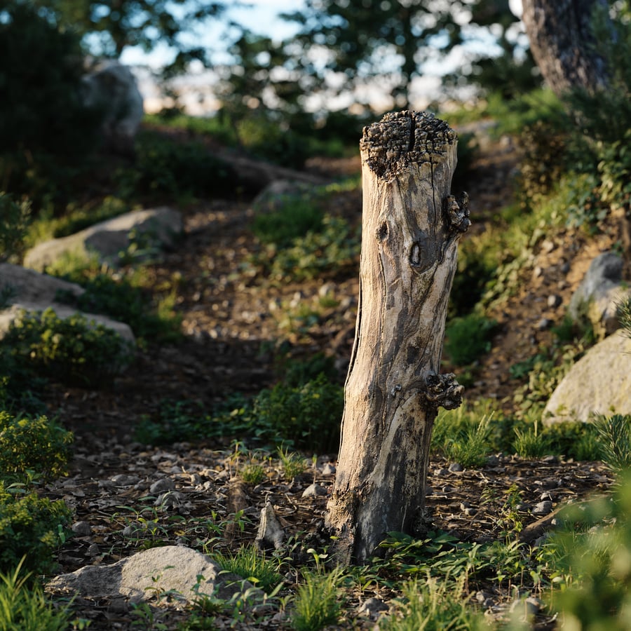 Tall Broken Split Bare Stump Model