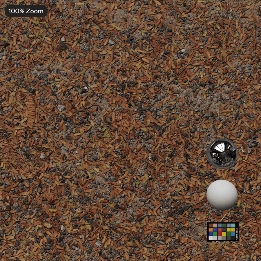 Texture des feuilles d'automne tombées