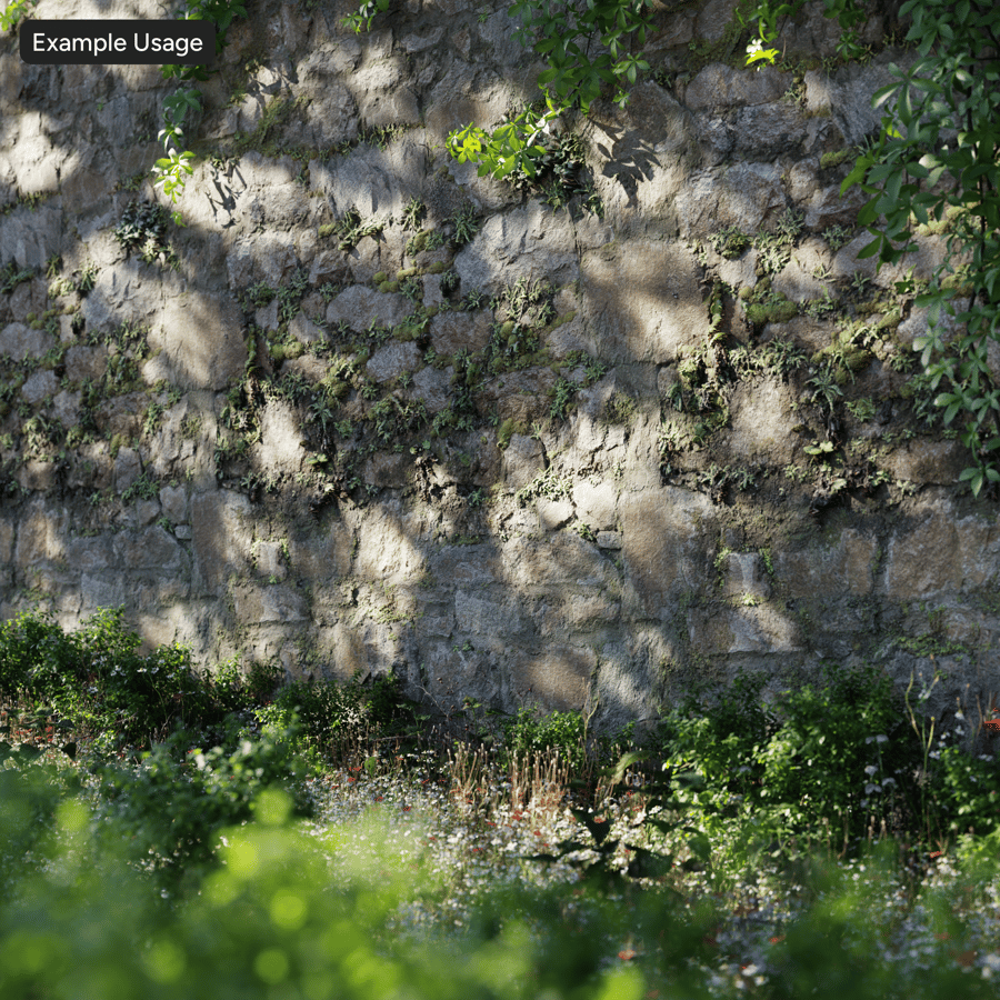 Machové buriny na kamennej stene