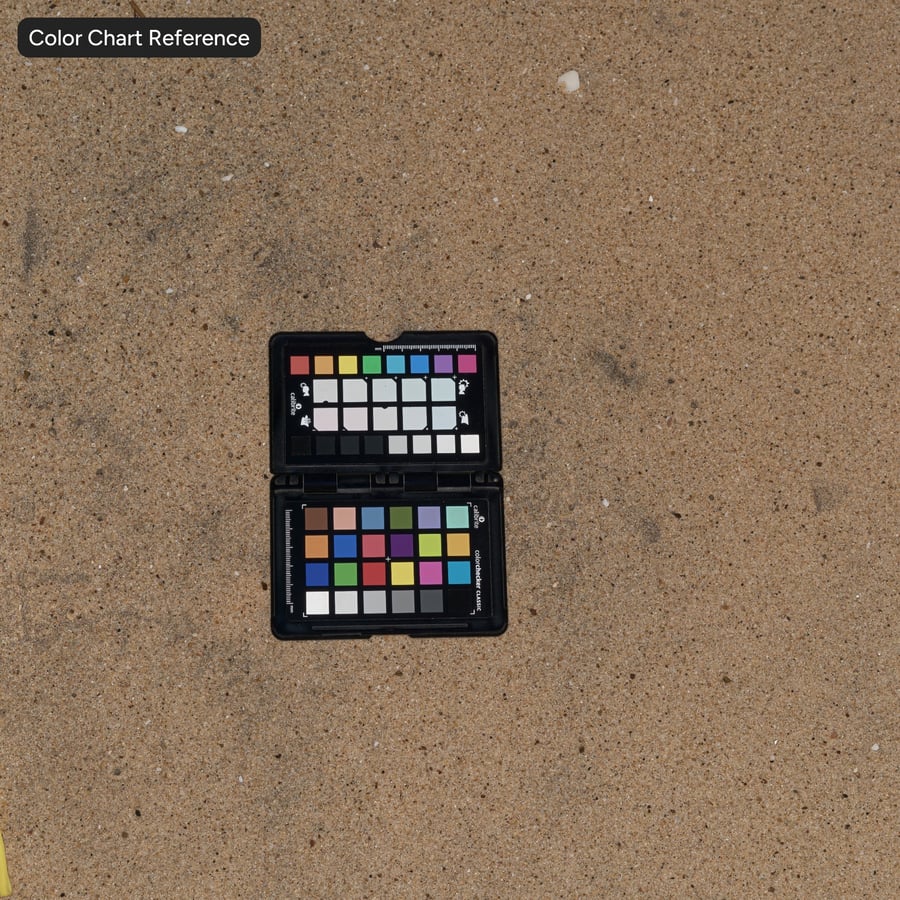 Wet Beach Sand Texture