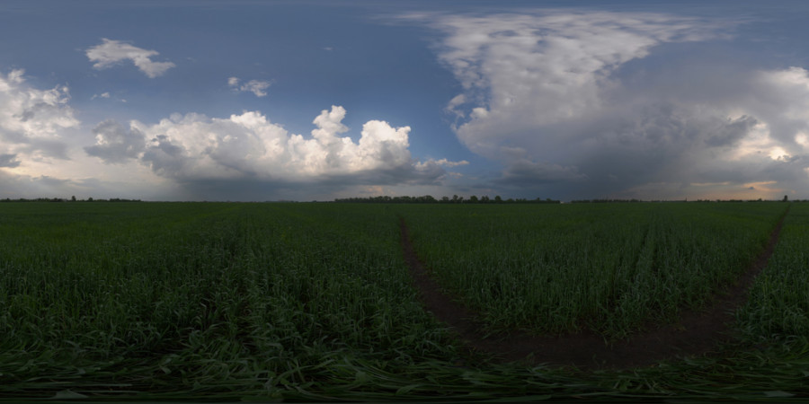 Fluffy Cloud Afternoon Field Outdoor Sky HDRI