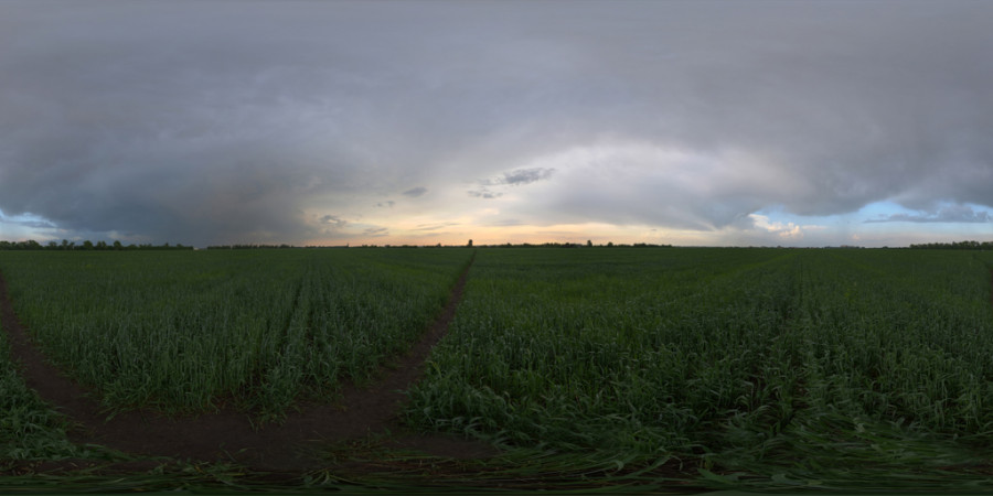 Overcast Sunset Field Outdoor Sky HDRI