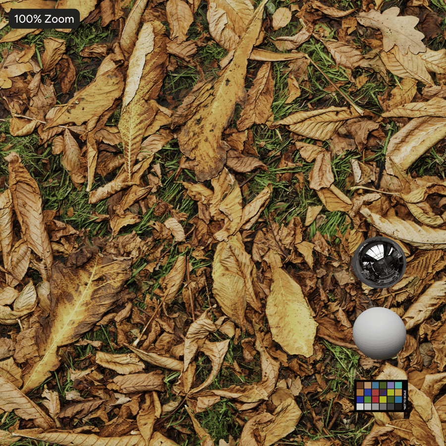 Φθινόπωρο Φύλλα στο γρασίδι έδαφος υφή