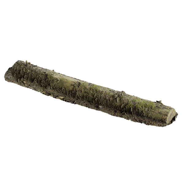 Large Decaying Mossy Forest Log Model