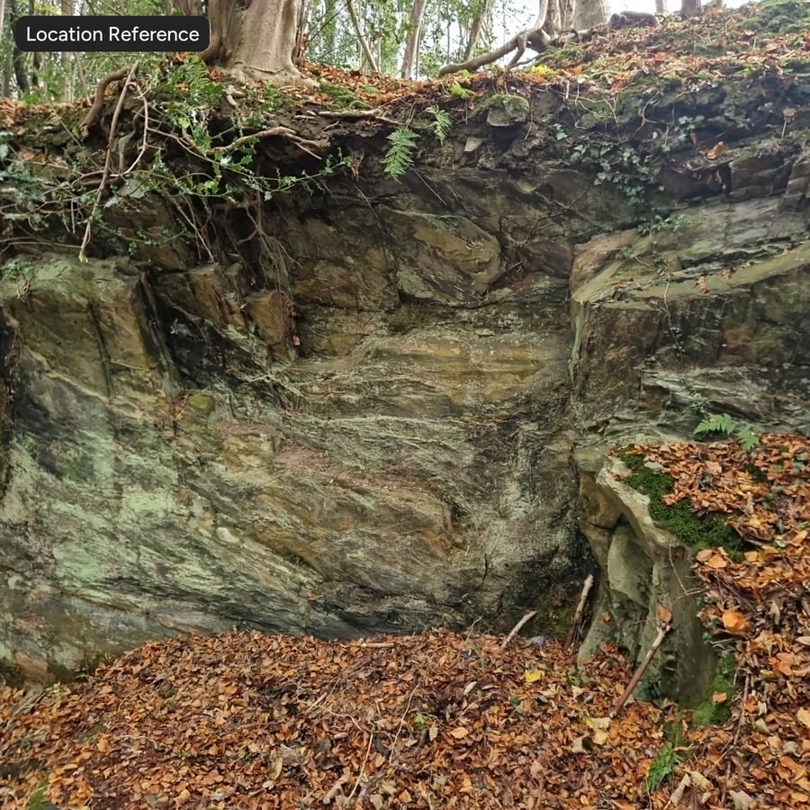 Texture de falaise rocheuse dans une forêt moussue
