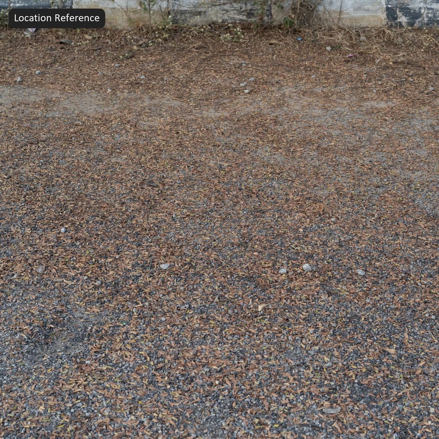 Texture des feuilles d'automne tombées