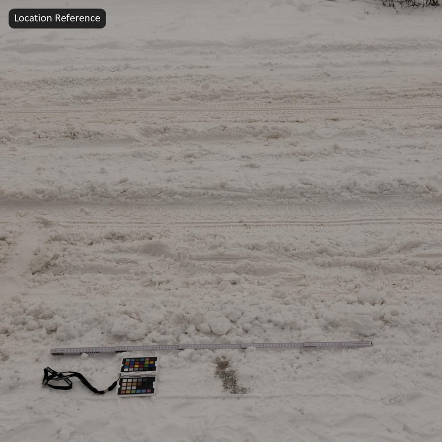 Tire Marks on Thick Snow Texture