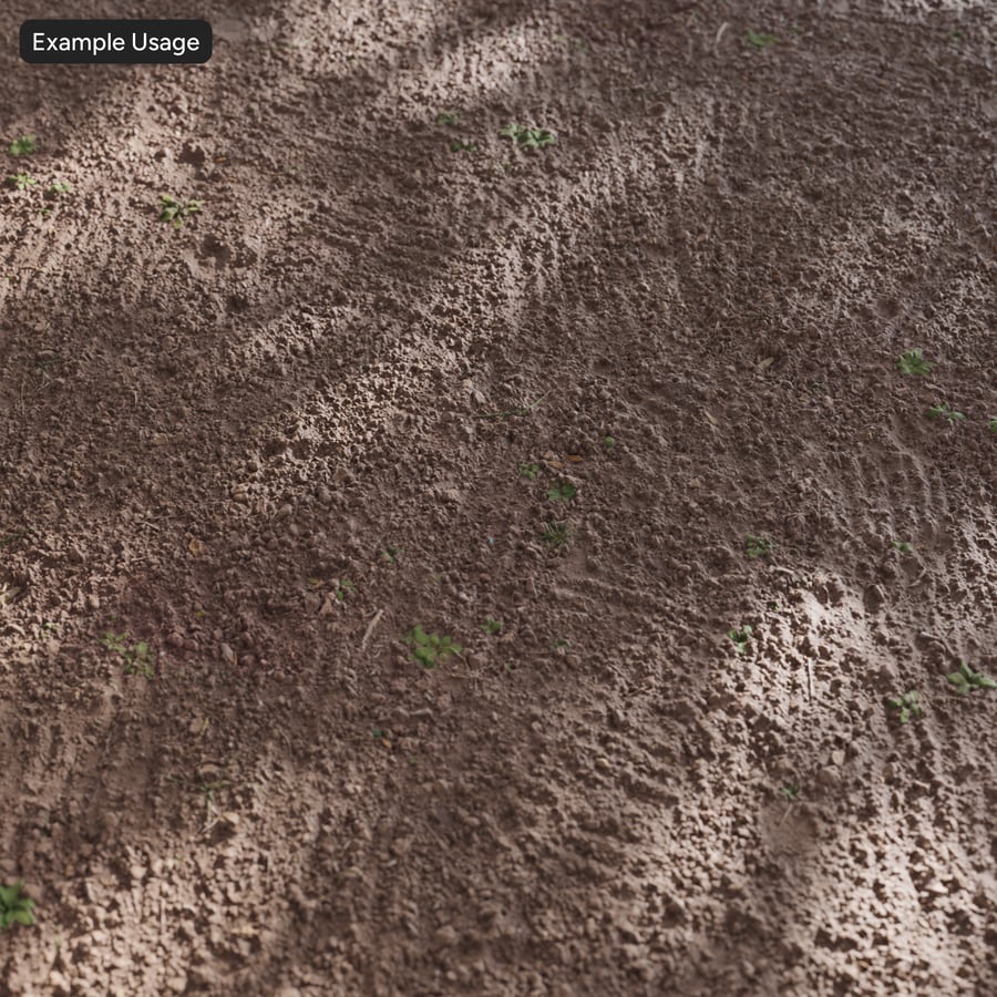 Small Weeds on Tilled Dirt Texture