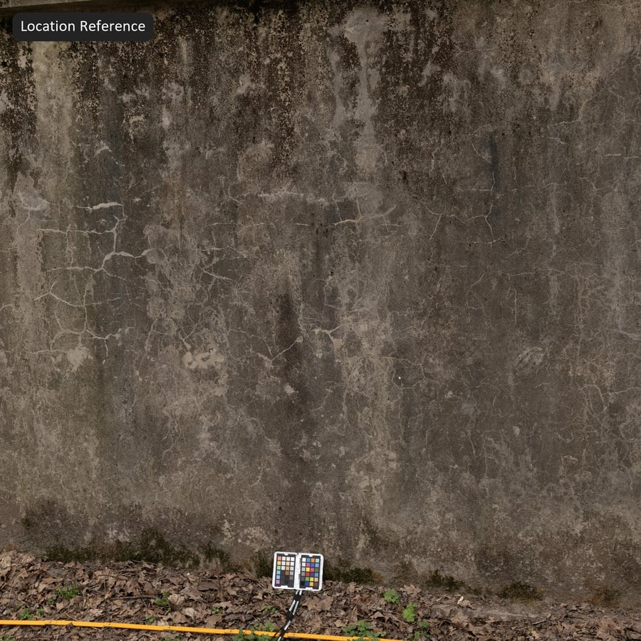 Wandtextuur van verweerd beton