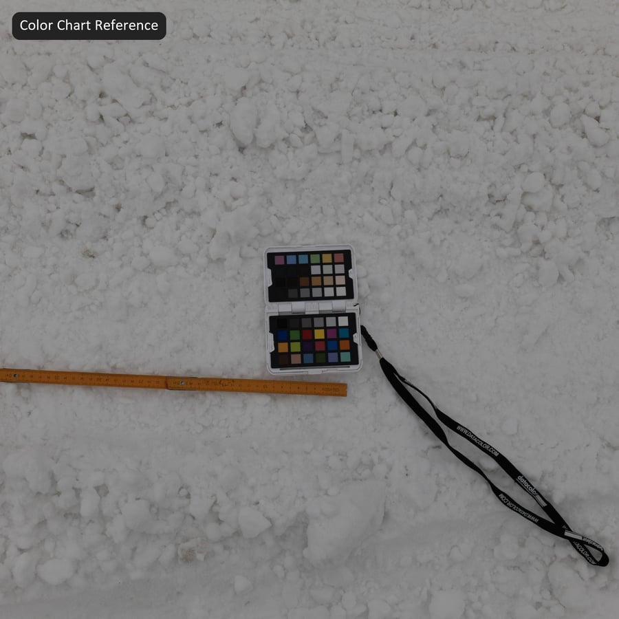 厚雪紋理上的輪胎印記