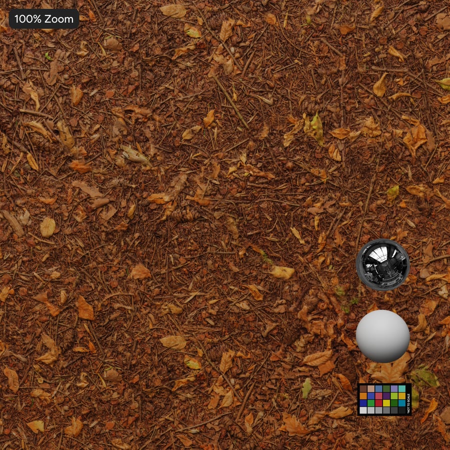 Leafy Dirt Forest Texture
