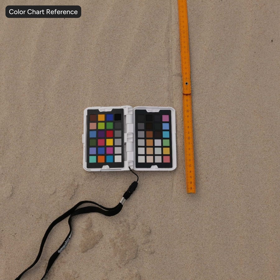 Textura de areia de praia ondulada