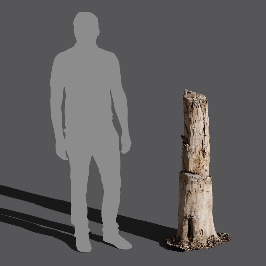 Tall Cut Damaged Stump Model