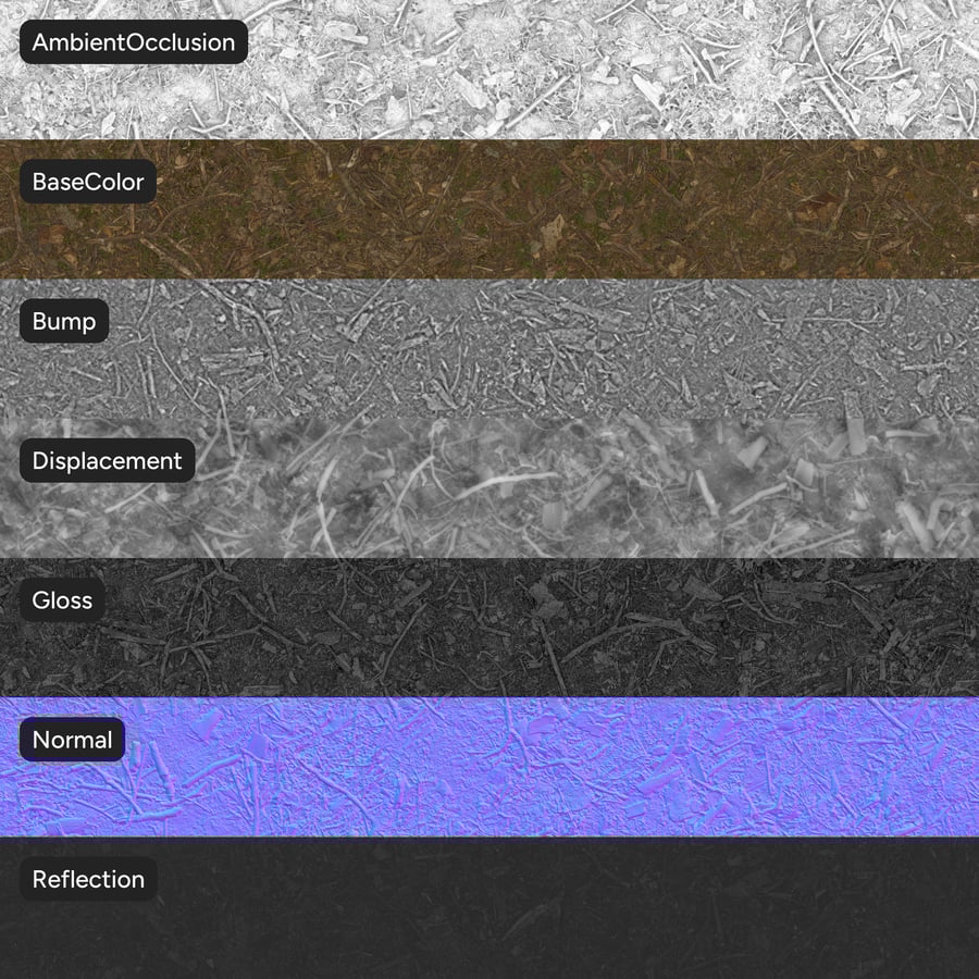 Stick Debris on Forest Texture