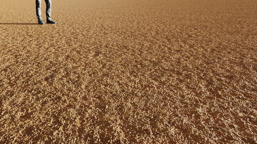 Ground Dirt Rocky Dry Grass 001