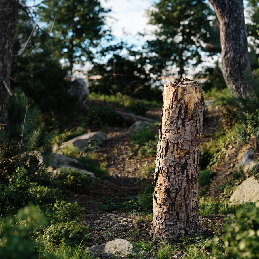 Medium Broken Conifer Stump Model