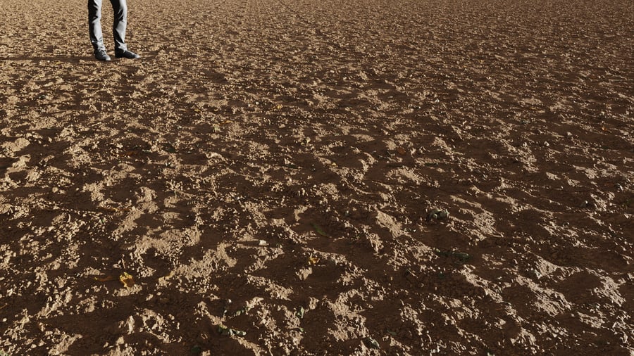 Dirt Forest Ground Texture