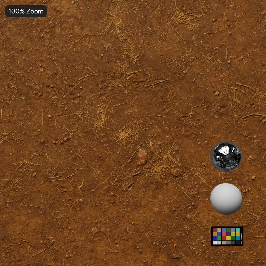 Textura de relva seca na terra