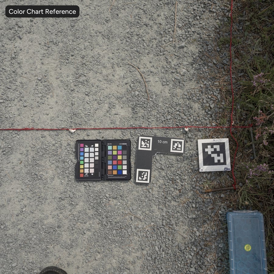 Texture d'une route en terre battue