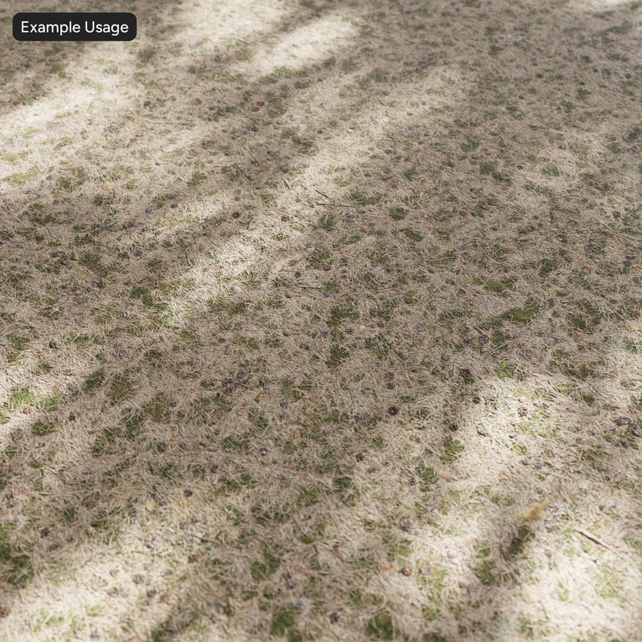 Conifère tombé sur une texture de sol en herbe