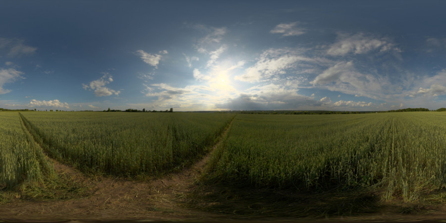 Lightly Cloudy Afternoon Field Outdoor Sky HDRI