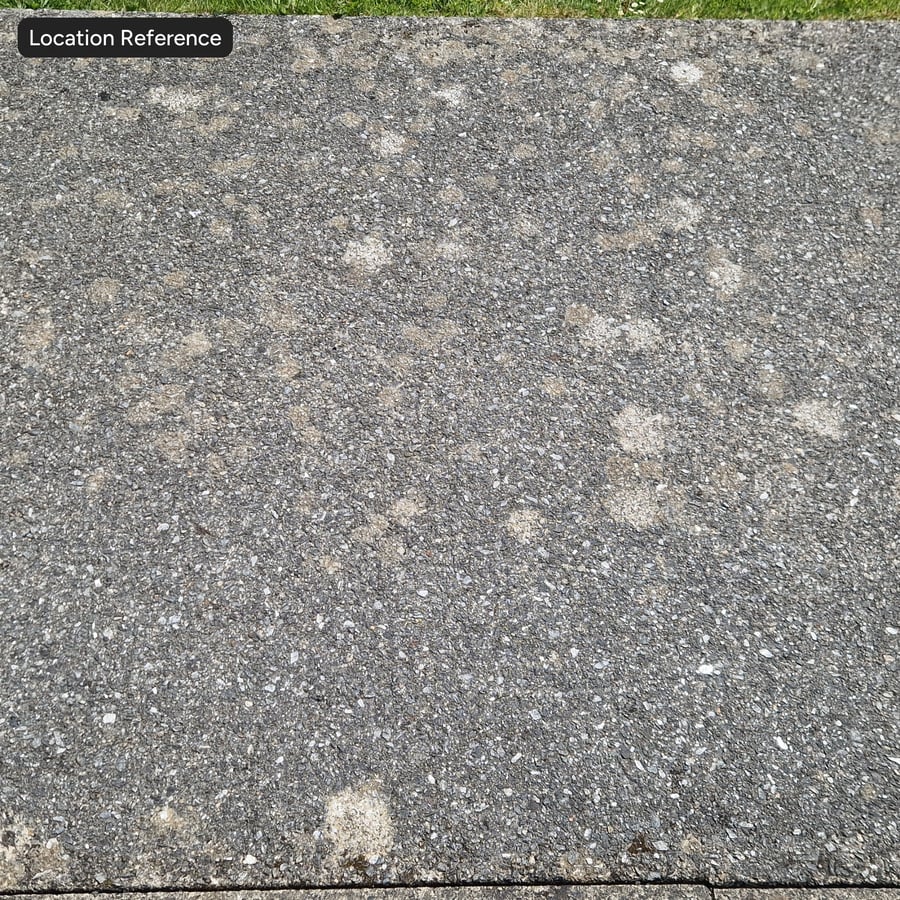 Ruwe asphalttextuur met korstmosvlekken
