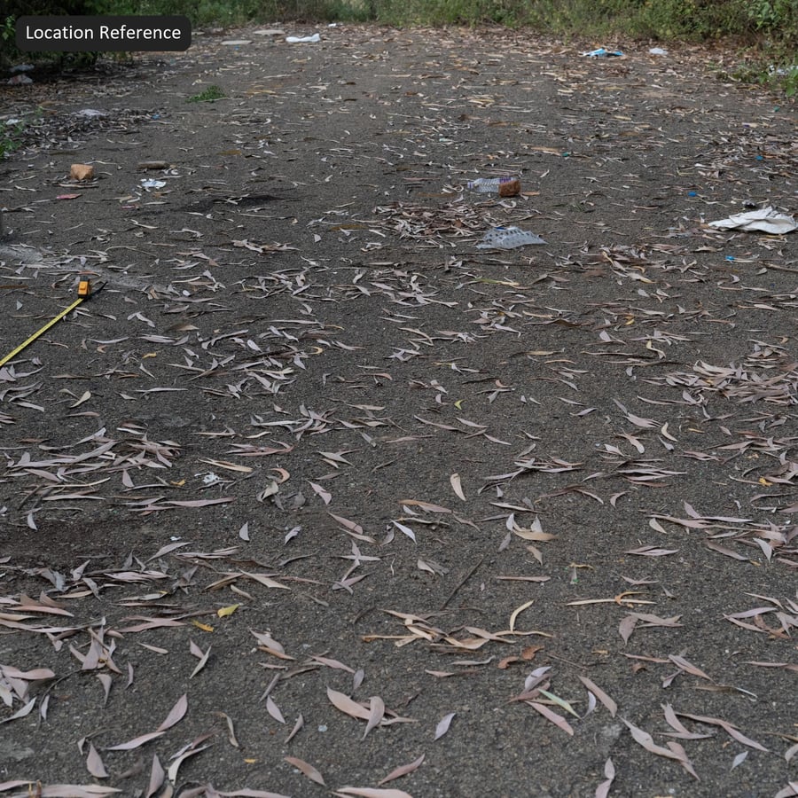 沥青上的落叶纹理