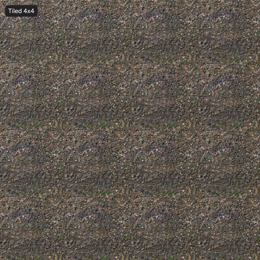 Torkad vegetation Skog Textur