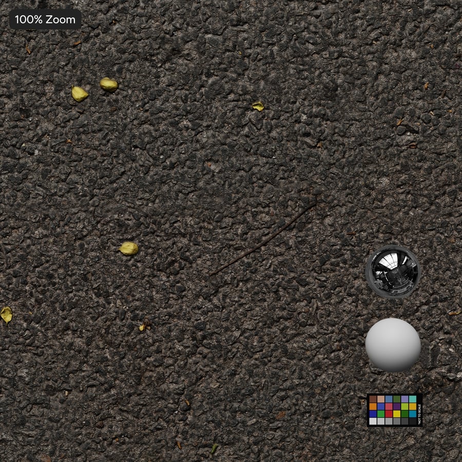 Fallen Leaves on Asphalt Texture