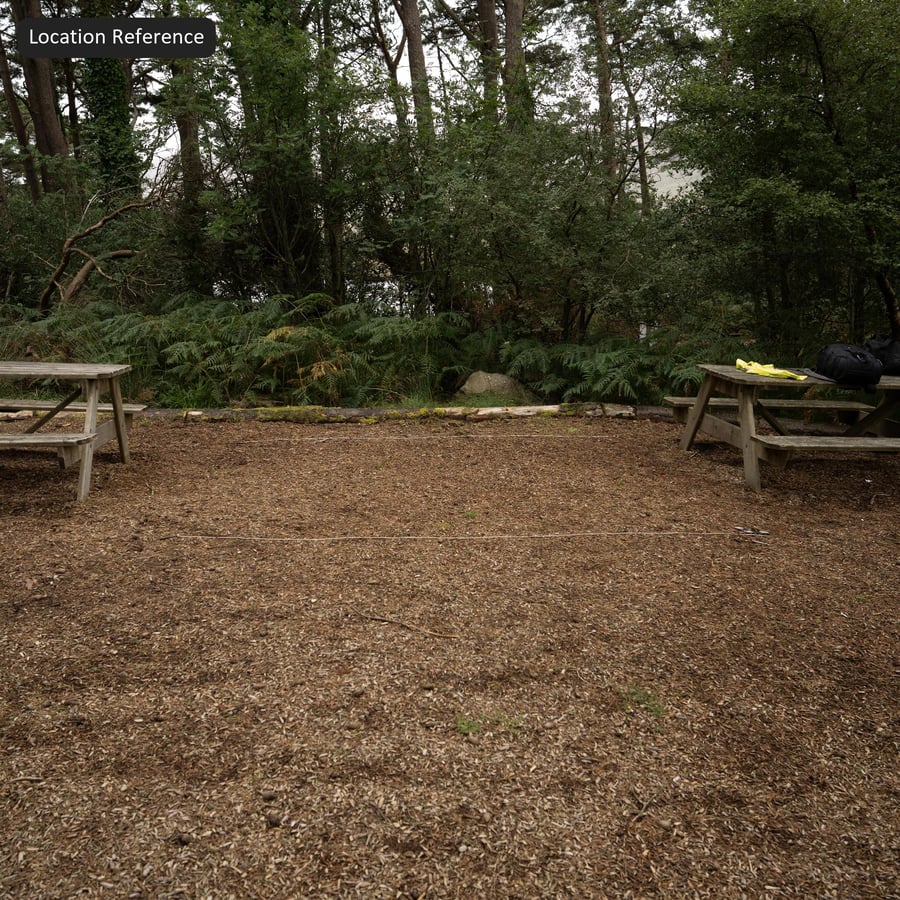 Houtspaanders Textuur