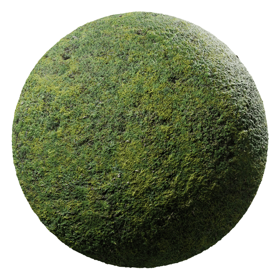 Short Grass Texture