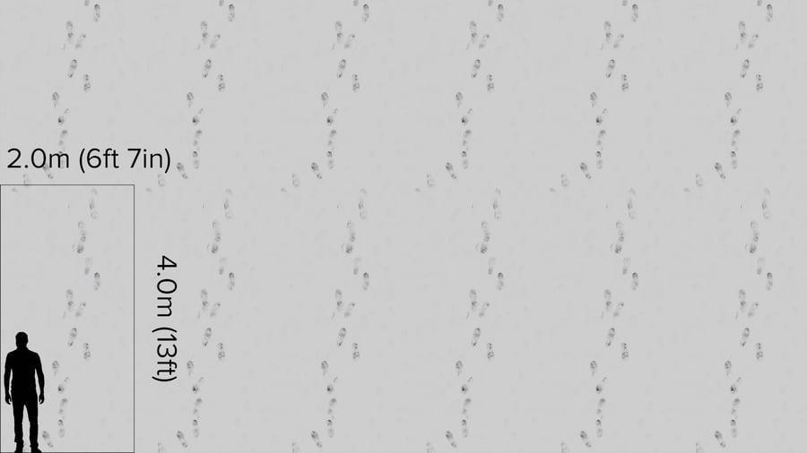 Textura de pegadas na neve