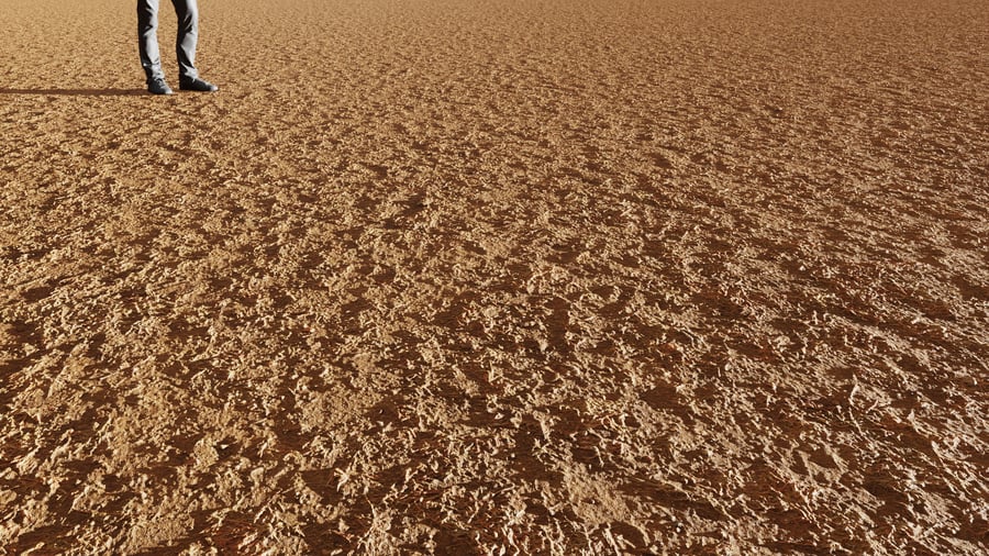 Ground Dirt Rocky Dry Grass 002