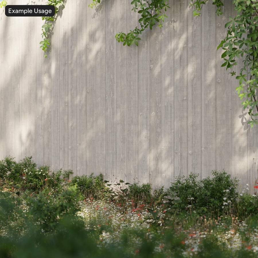 Rough Sawn Spruce Wood Board Texture, Rio Frio