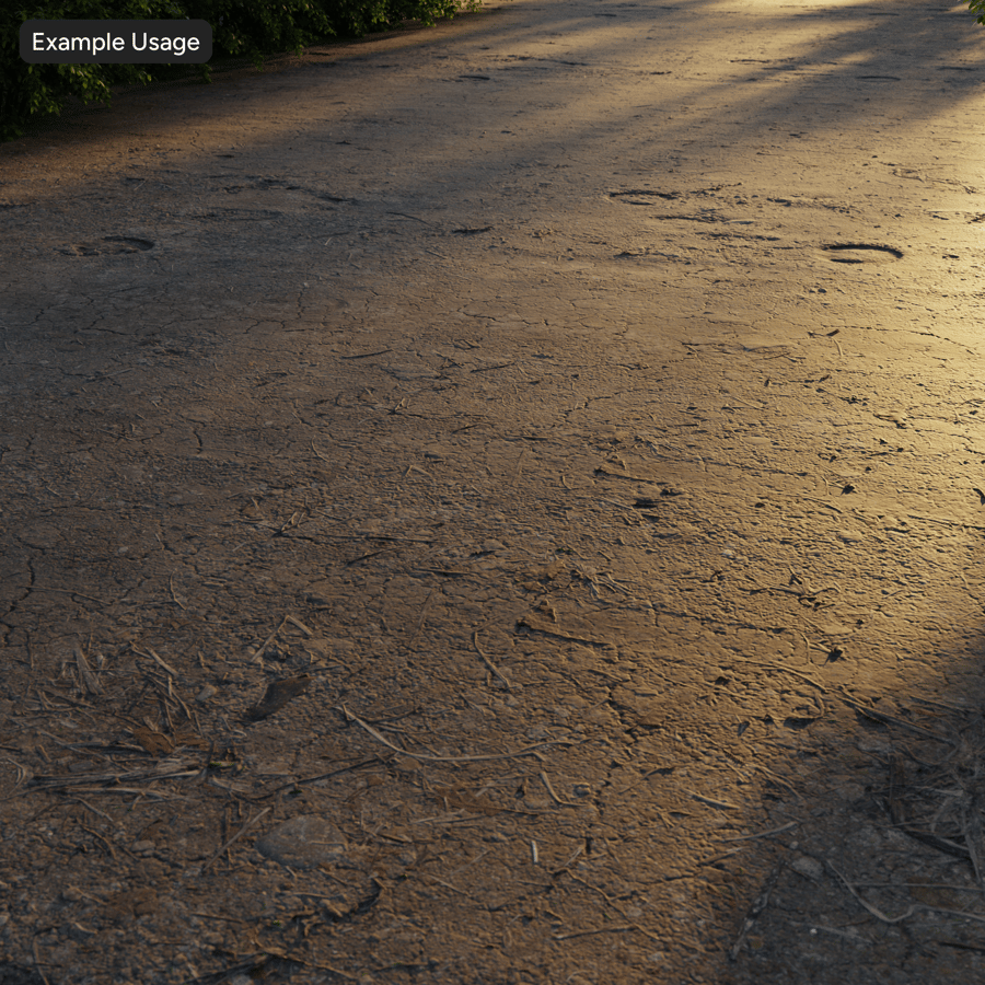 Pitted Dirt Road Texture